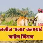 Agriculture Land : शेतजमीन NA करण्याच्या नियमांत बदल! नवीन नियम काय? वाचा सविस्तर