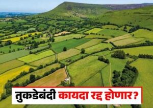 Tukde Bandi Kayda : शेतजमीन तुकडेबंदी कायदा रद्द होण्याची शक्यता; काय होईल निर्णय? वाचा सविस्तर