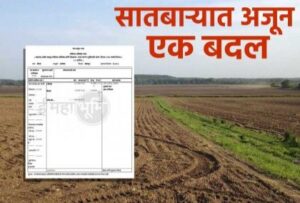 सातबाऱ्यावर होणार आता पोटहिस्स्याची नोंद; काय आहे निर्णय? वाचा