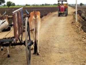 Agriculture News : शेतात जाण्यासाठी शेतरस्त्याची मागणी कशी करावी? किती दिवसांत मंजुरी मिळते?